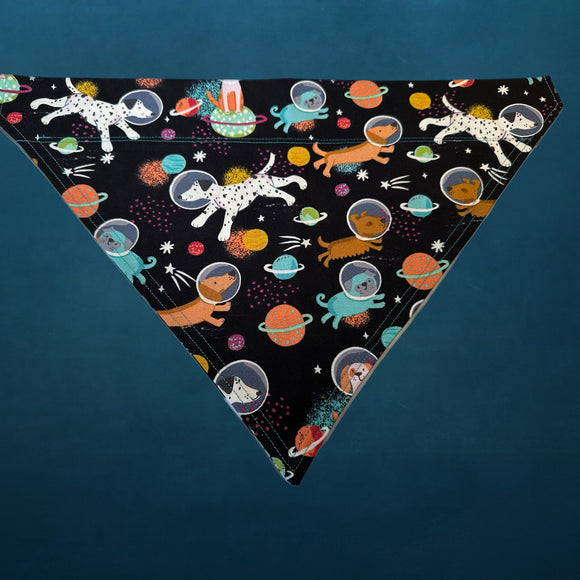 Dogs in Space